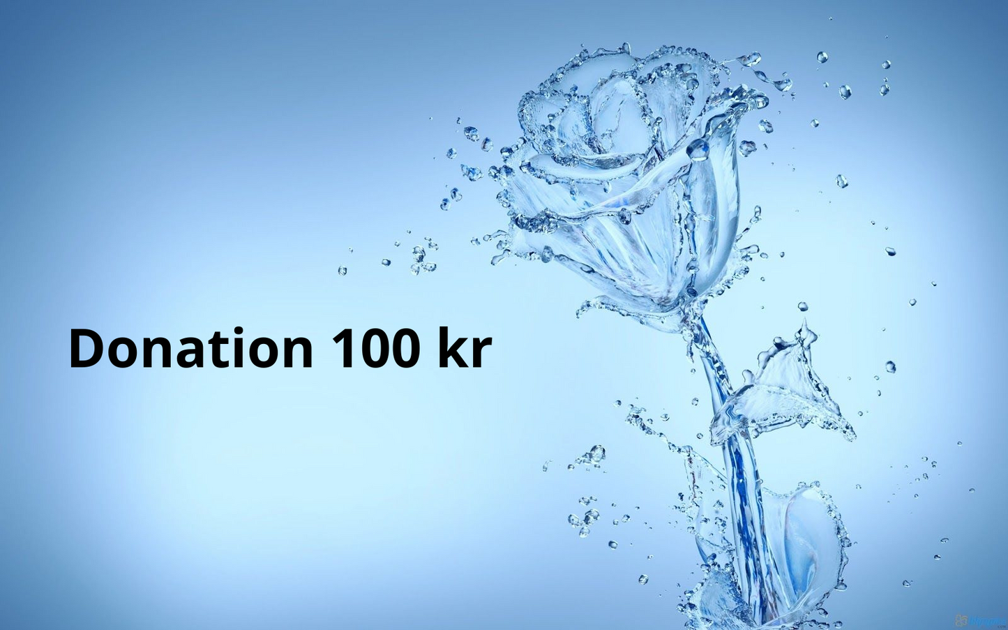 Donation 100 kr