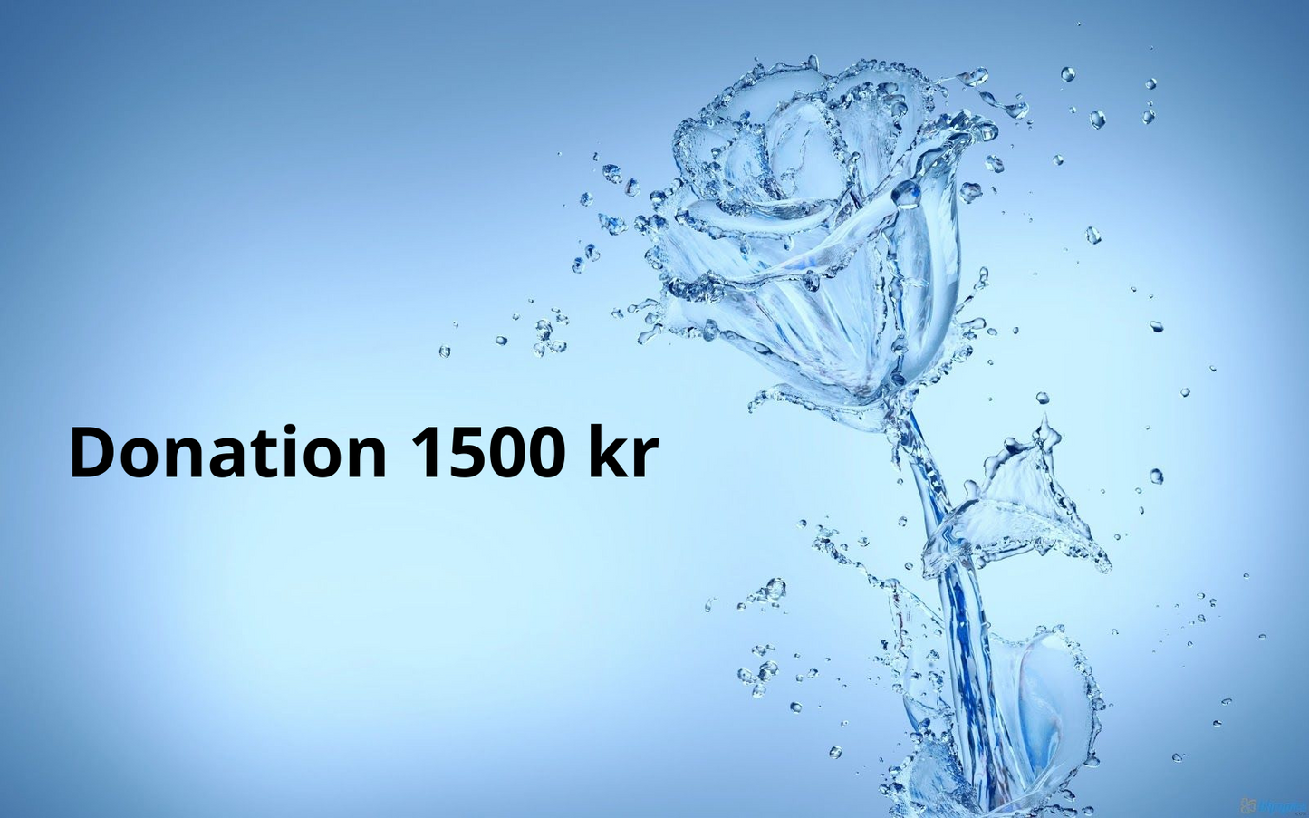 Donation 1500 kr