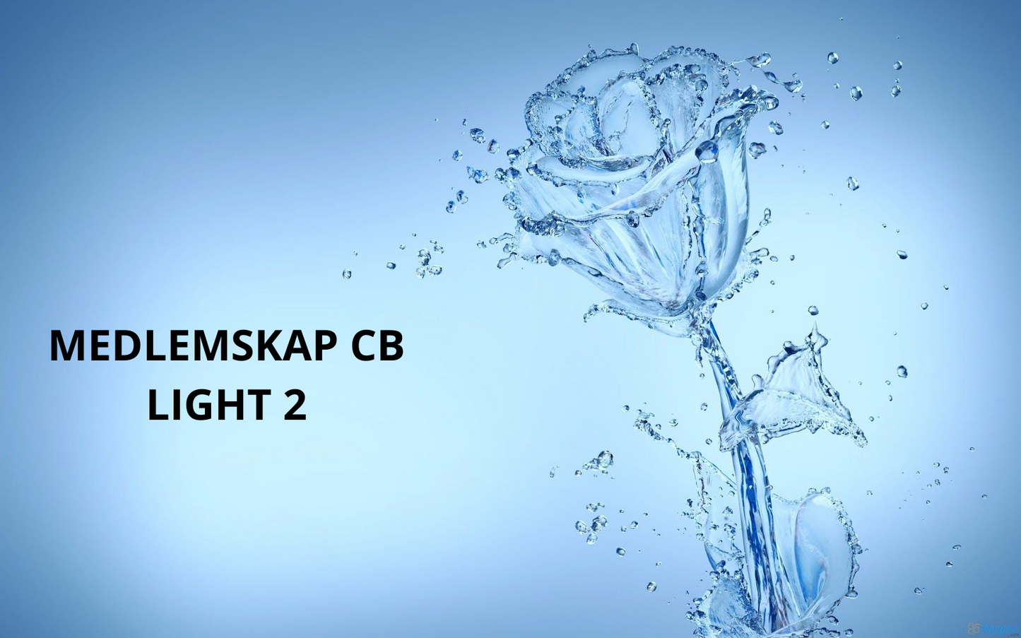Medlemskap CB LIGHT 2