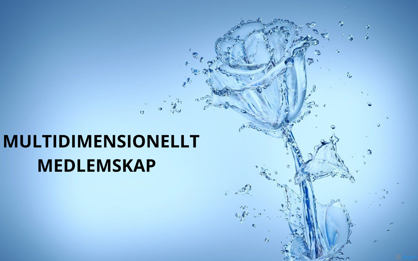 Mulitidimensionellt Medlemskap