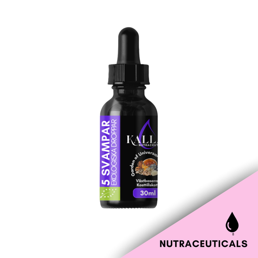 Medlemsgåva 5 svampar Balance