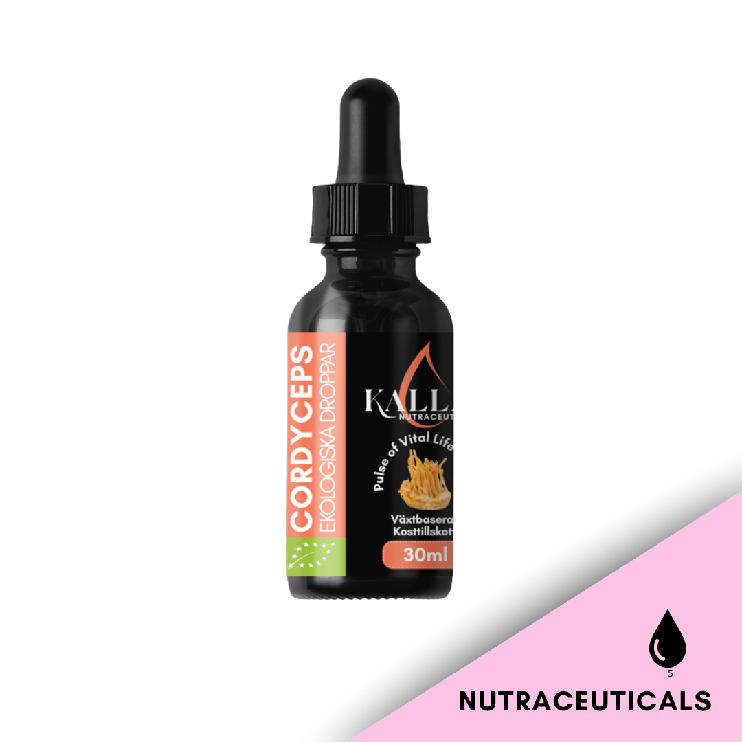 Medlemspaket Cordyceps Balance