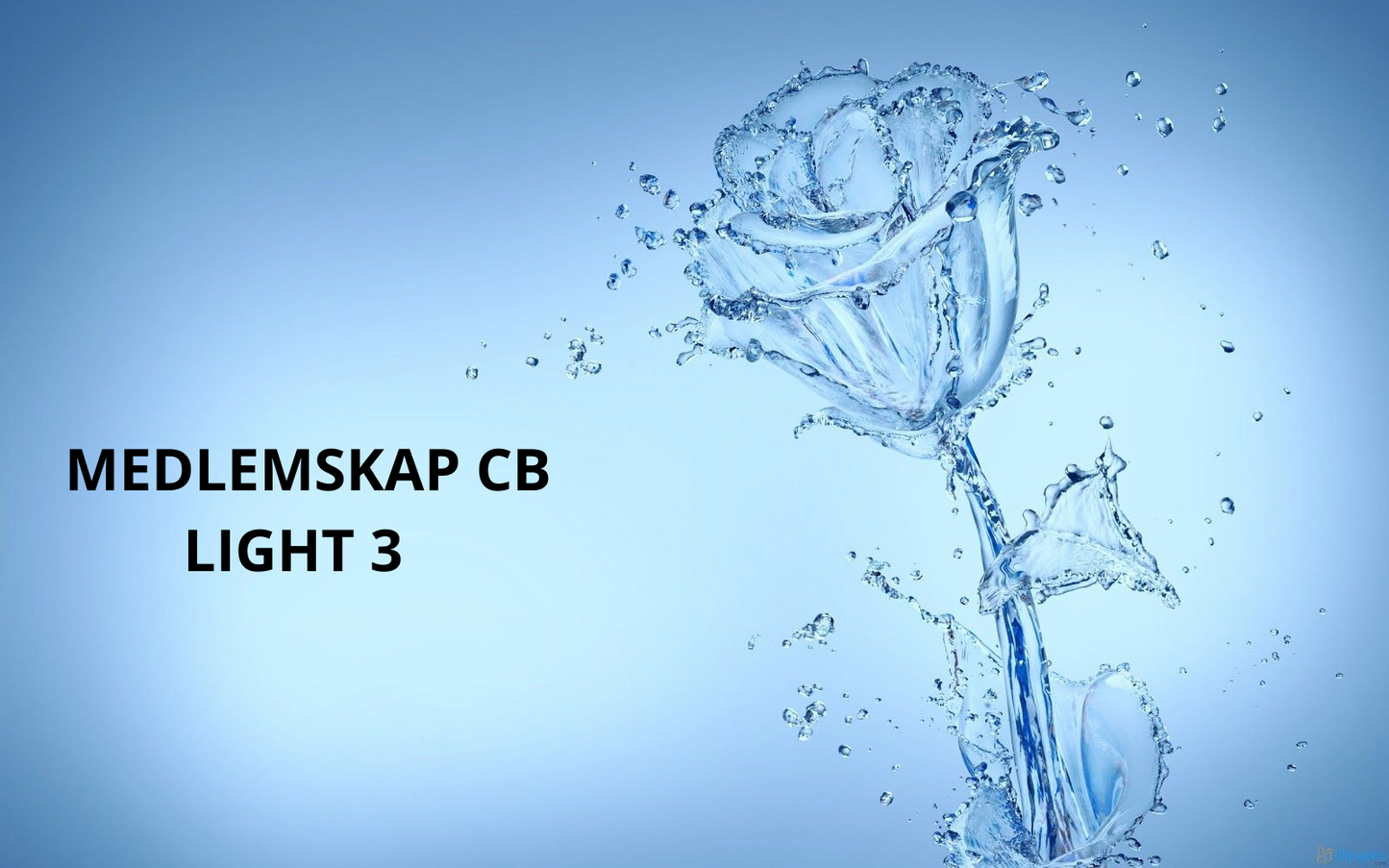Medlemskap CB LIGHT 3