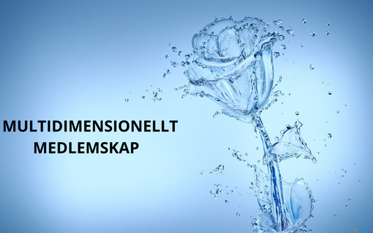 Mulitidimensionellt Medlemskap